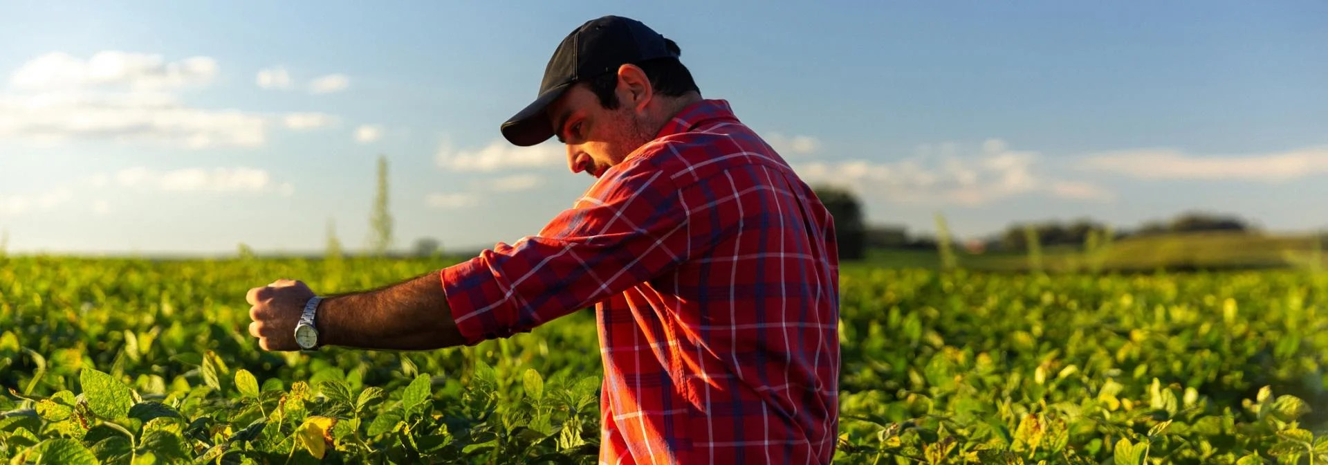 Farmer